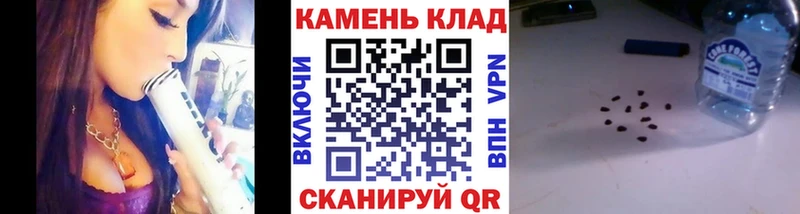 Гашиш Изолятор  купить наркотик  мориарти официальный сайт  Змеиногорск 