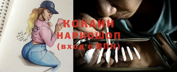 бошки Горняк