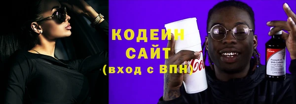 молекула духа Чердынь
