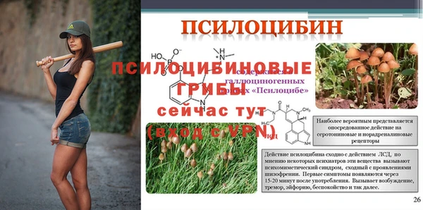 ПСИЛОЦИБИНОВЫЕ ГРИБЫ Горнозаводск
