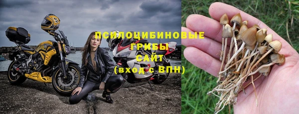 бошки Горняк
