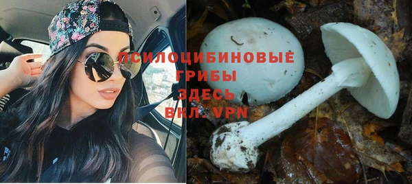 бошки Горняк