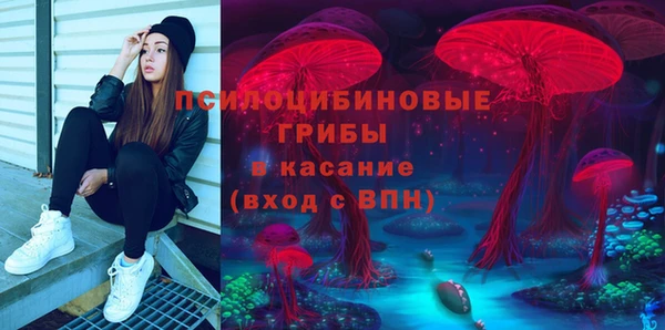 ПСИЛОЦИБИНОВЫЕ ГРИБЫ Горнозаводск